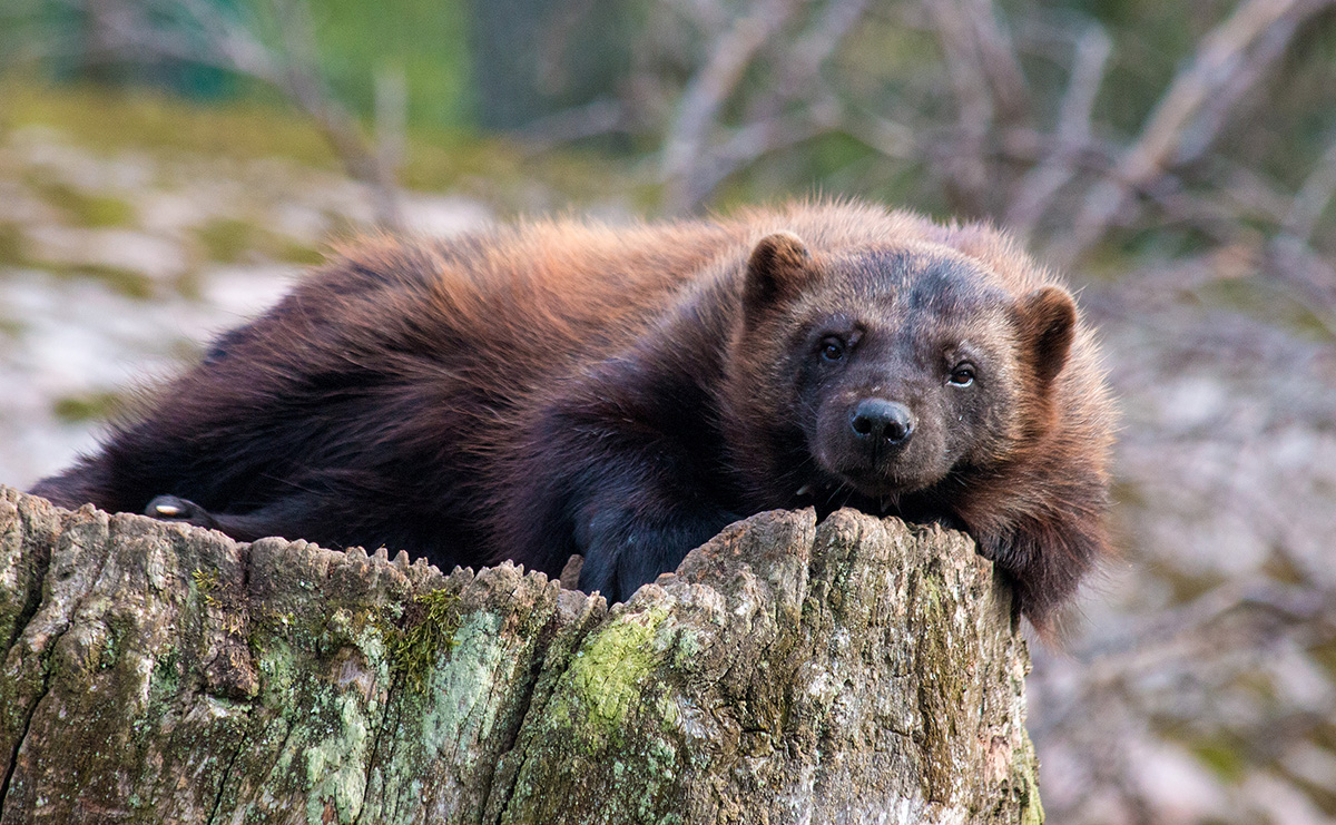 La importancia de responder al llamado