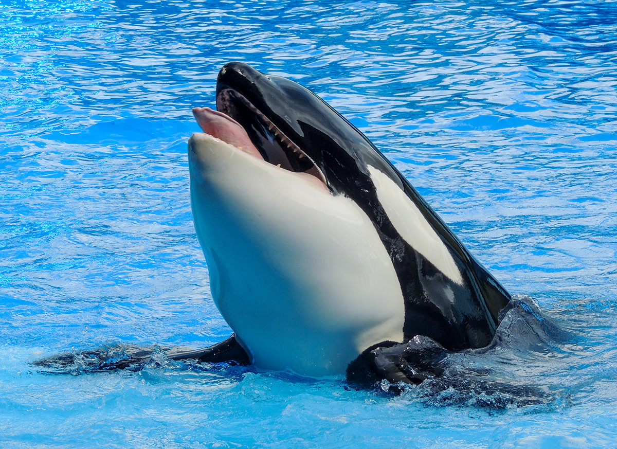 What do we do when a behavior is incorrect?