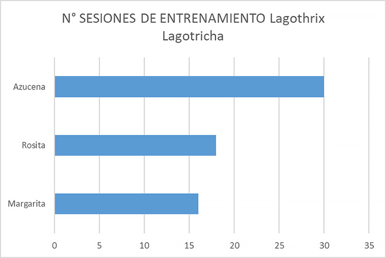 Gráfico 6: Número de sesiones de entrenamiento por individuo hasta lograr tomar la muestra de sangre en Lagothrix lagotricha.