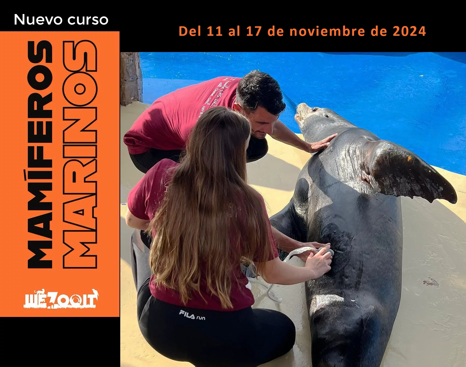 The new Marine Mammals course The new Marine Mammals course