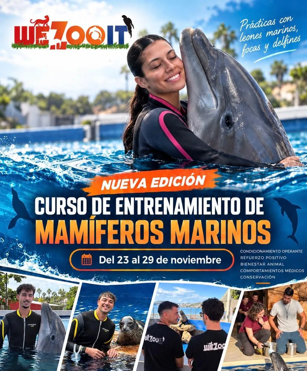 The new Marine Mammals course The new Marine Mammals course